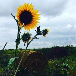 Meet your Posher, Kerry